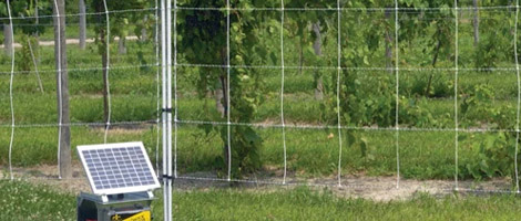 solar electric fence